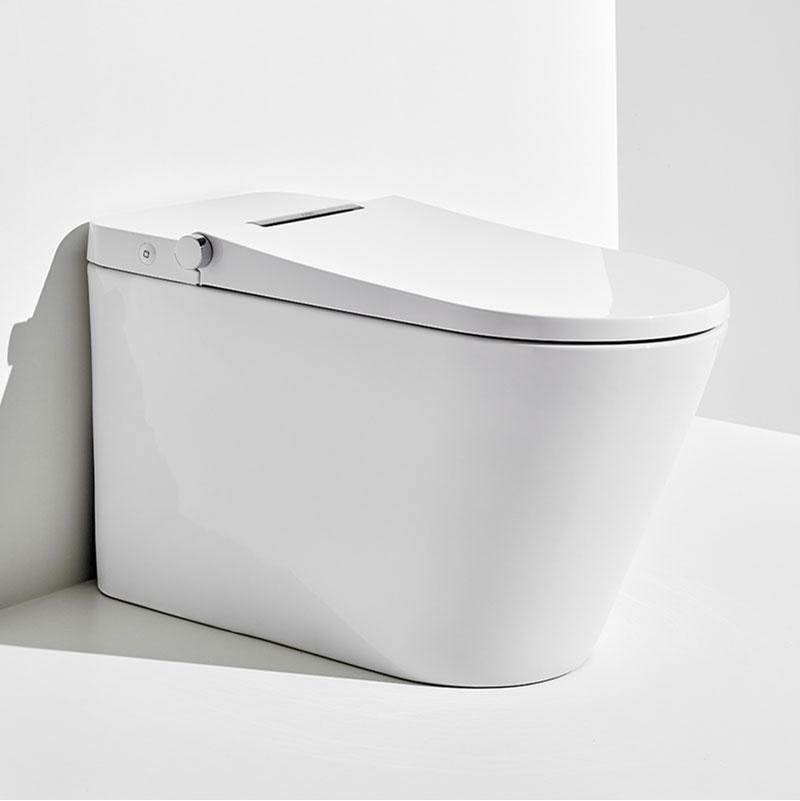 Axent - One Piece Toilets With Washlet